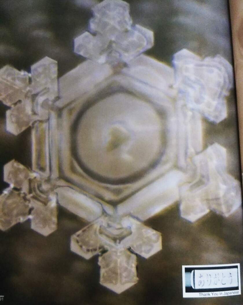 ありがとうの水の結晶